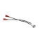Wells N1-WL0281 Indicator Light with Leads, LED, Clear