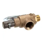 Groen N69806 Pressue Relief Valve, 1", 100 PSI