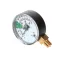 Stero Dishwasher P65-1136 Pressure Gauge, 2-1/2" Dial, 0-60 Psi