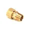 Anets P8840-39 Compression Fitting, Brass, 1/2 TU x 3/8 N