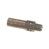 P884095 Anets