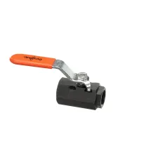 Anets P8902-86 Ball Valve, 1/2"