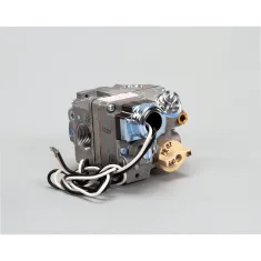 Anets P8903-40 Gas Valve, 120V, Natural Gas, 3/4"