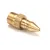 P890498 Anets