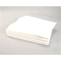 Anets P9315-80 Filter Envelope, 12.25" x 17", Case of 100