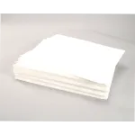 Anets P9315-80 Filter Envelope, 12.25" x 17", Case of 100