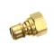 Avtec PB DCN0310 Quick Disconnect, 3/4", Male, use with PB DCN03