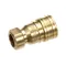 Avtec PB DCN0310F 3/4 BRASS FEMALE 100-010 USE WITH PB D