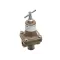 Follett PI501781 Water Pressure Regulator, 25 PSI