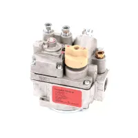 PP10956 Anets