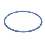 Winston PS1892-BULK GASKET COLLECTOR FRYER MIN 100