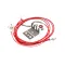 Winston PS2178 Probe, Air, Cook And Hold Oven