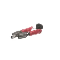 Q9-40705-10 Lang