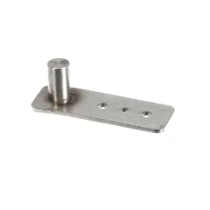 Lang Q9-50313-031 Door Hinge with Pin