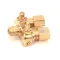 Tri-Star Manufacturing R3020A Pilot Adjustment Valve, Dual, 1/8-27 x 3/16"