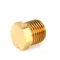 Blodgett R8183 NPT Brass Plug, BC-14EDS, BC14E, CNV-14E