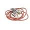 Blodgett R9590 Pilot Assembly with Flame Sensor, Natural Gas