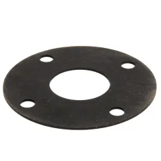 Power Soak Systems Inc RS1010 Gasket, Pump Outlet