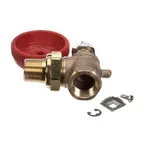 Cleveland SE00010 Steam Inlet Valve Assembly, Brass, 3/4"