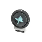 Pump, Drain, 120 Volt, 60HZ