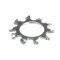 Lock Washer, External Tooth, 1/4&quot;