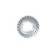 Nut, Hex, Flange, 5/16-18, C602