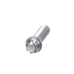 Screw, 6 Lobe External Torx, 5/16-18 x 1&quot;