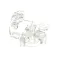 Body, Flow Control, .059 Orifice