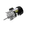 MOTOR-REDUCER 162RPM SS