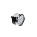 Gauge, Back Mount, 1/8&quot; MPT, 100 PSI