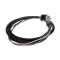 Power Cord with Plug, 250V, 30A, 4 Wire