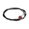 Indicator Light, Amber, 250 Volt