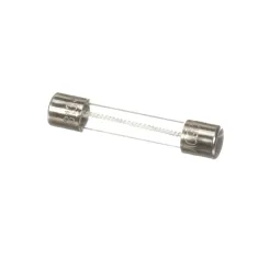 Fuse, 6 Amp, 250V