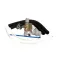Regulator/Filter Kit, C009