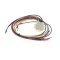 Wire Harness Assembly, Gas Convection Oven
