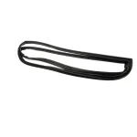 Norpole U6004 DOOR GASKET FOR NPGB-60