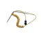 Probe, Food, Yellow