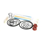 Carpigiani US193-024876 TUNE UP KIT MINOR UF253/203P