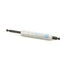 BKI VH0432 Gas Ram, 200 Radial Hdwe