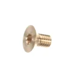 Rotisol VLAITFHCM610 BRASS SCREW FOR GLASS-SIDE OF CHAGF