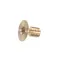 Rotisol VLAITFHCM610 BRASS SCREW FOR GLASS-SIDE OF CHAGF