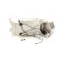 Delfield VMP00122 Control Board Assembly, Vitamix