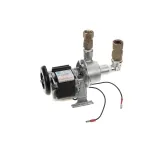 Wilbur Curtis WC-1039 PUMP, WATER W/FITTING 220/240