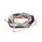 Wilbur Curtis WC-13043-106 Wire Harness, TCTS, PTT3, CBS, RS, Main Chassis Assembly