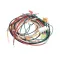 Wilbur Curtis WC-13046-101 Wire Harness Assembly, WB5N/WB5NL