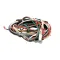Wilbur Curtis WC-13237 HARNESS, ASSEMBLY D500GT/H-10