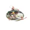 Wilbur Curtis WC-13431 Wire Harness Assembly, TP1S33