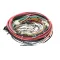 Wilbur Curtis WC-13464 Wire Harness Assembly, OMGT