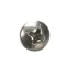 Wilbur Curtis WC-4412 SCREW, 10-32X3/16 PH PN HD MS