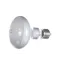 BULB FOR POP-8B AND POP-8R